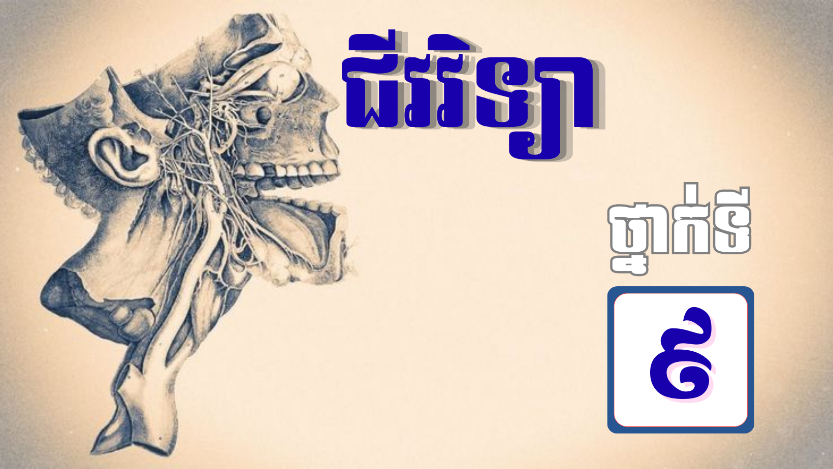 ថ្នាក់ទី៩ ជីវវិទ្យា